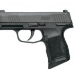 Sig Sauer P365 Nitron MS 9mmLuger