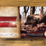 Norma .308 Win Alaska 11,7g 180grs