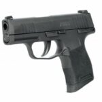 Sig Sauer P365 Nitron MS 9mmLuger