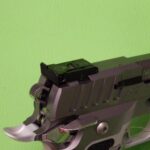 PROARMIS Mod. PROCARRY silber – Lauflänge 4″ – Kaliber 9mmLuger – Sportpistole
