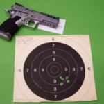 PROARMIS Mod. PROCARRY silber – Lauflänge 4″ – Kaliber 9mmLuger – Sportpistole