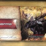 Norma 9,3×62 Alaska 18,5g 285grs